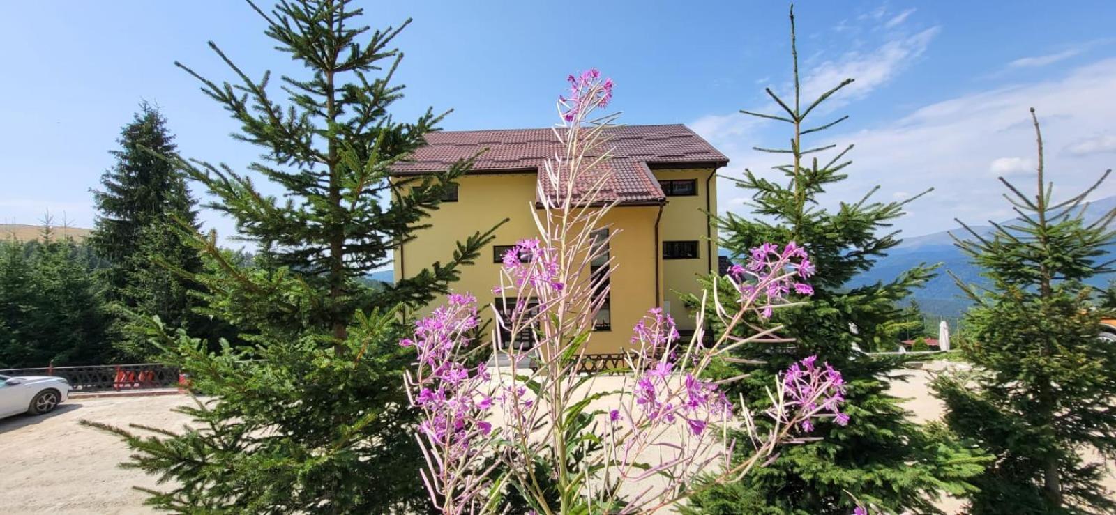 Pension Valea Mariei Rânca Exteriér fotografie
